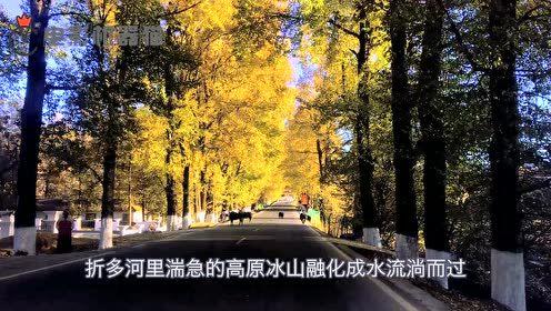 娱乐吃瓜君5,揭秘娱乐圈最新热点，带你领略明星幕后故事